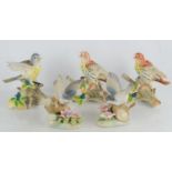 A group of porcelain bird figures to include two Lladro examples