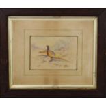 James Stinton, cock and hen pheasant in landscape, watercolour, signed, 5ins by 6ins.