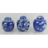 Three Chinese blue and white ginger jars, two with prunus decoartions the other with two dragons