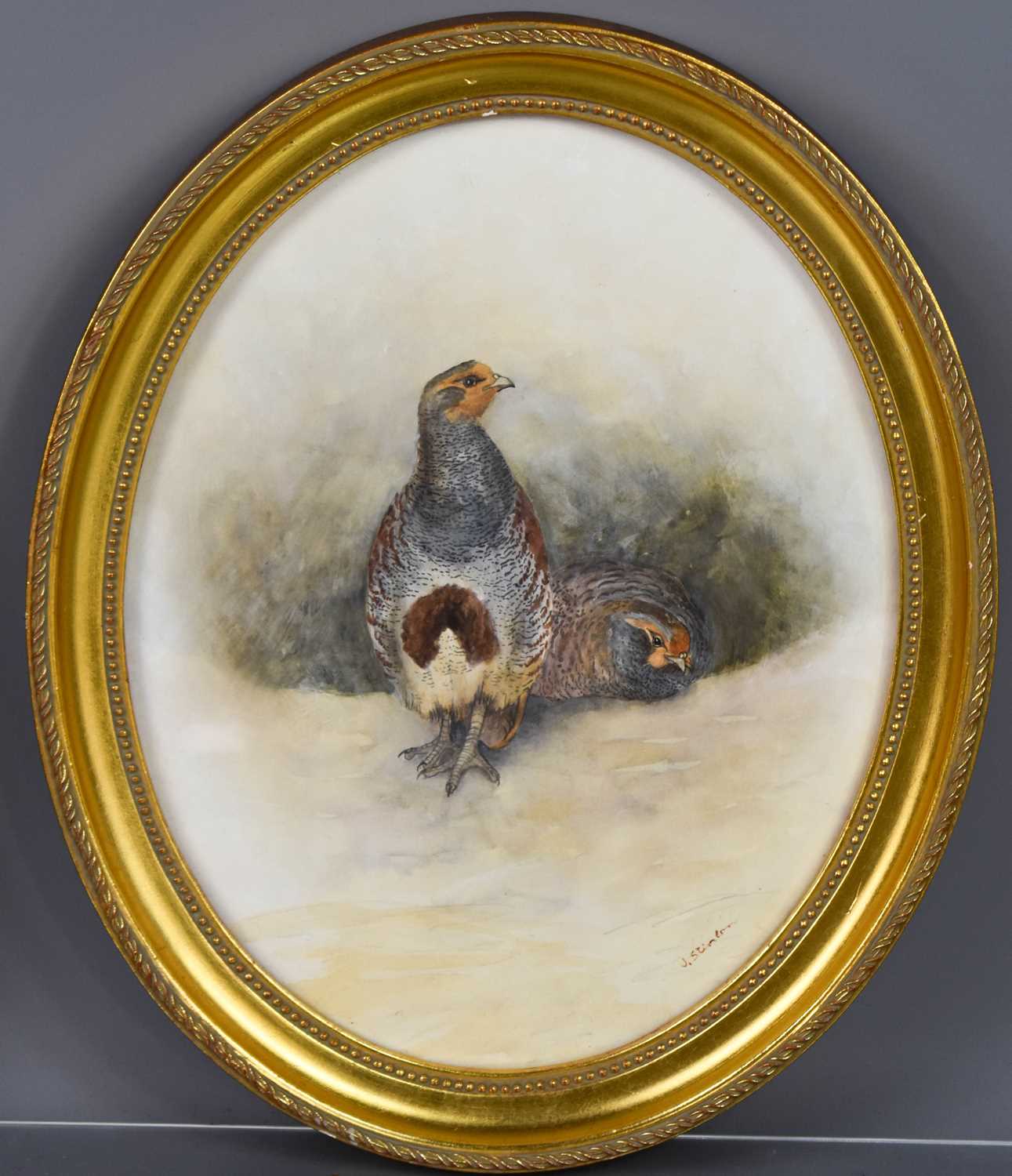 JAS Stinton, two grouse, watercolour, signed, within an oval frame, 10ins diameter.