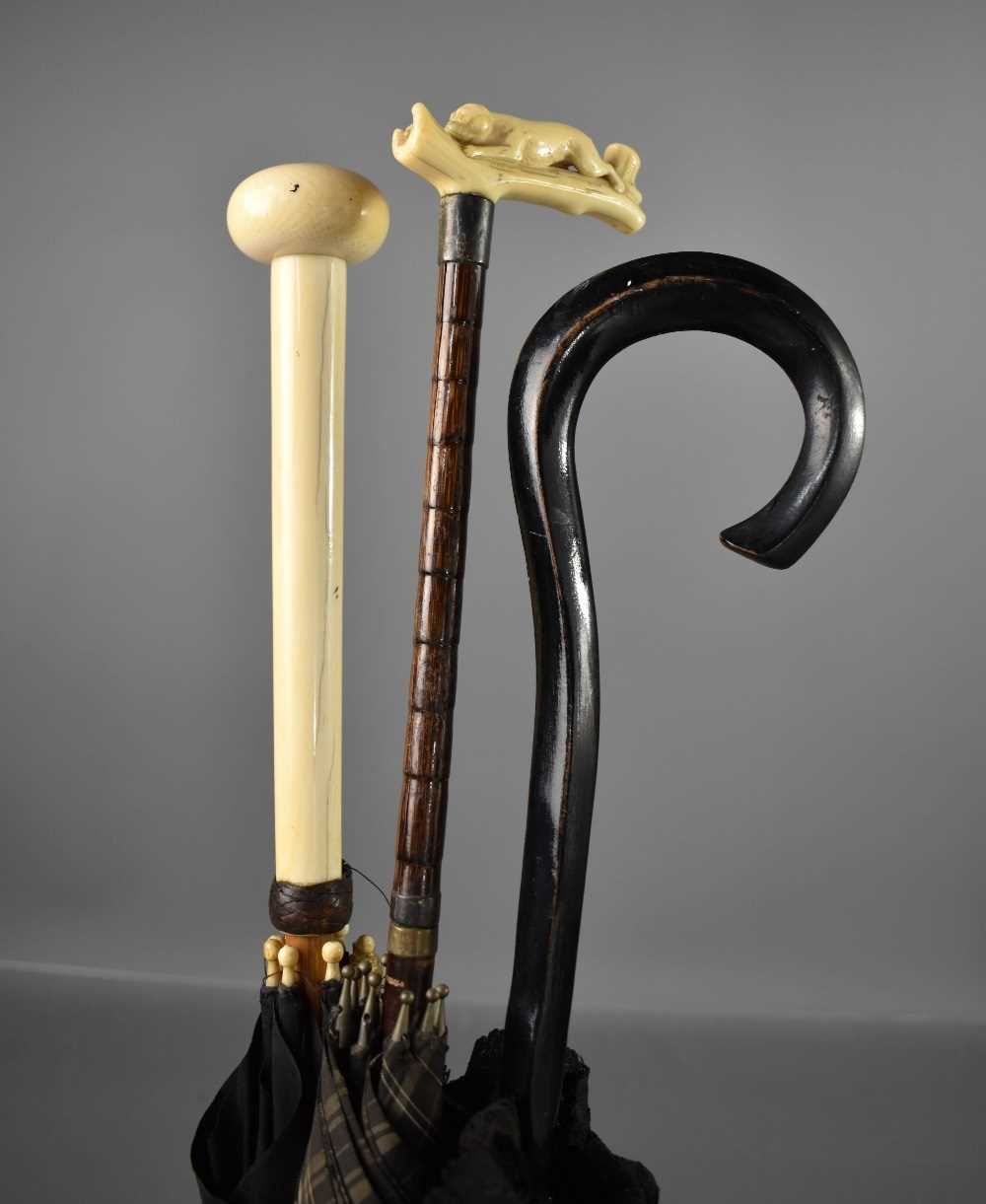 Three antique umbrellas two with ivory handles, one with carved with a dog. - Bild 2 aus 2