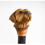A treen walking cane, the handle carved in the form of a labrador head, inset with glass eyes,