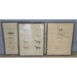 A group of four French animal anatomical prints, comprising three describing the horse, 'Tableau
