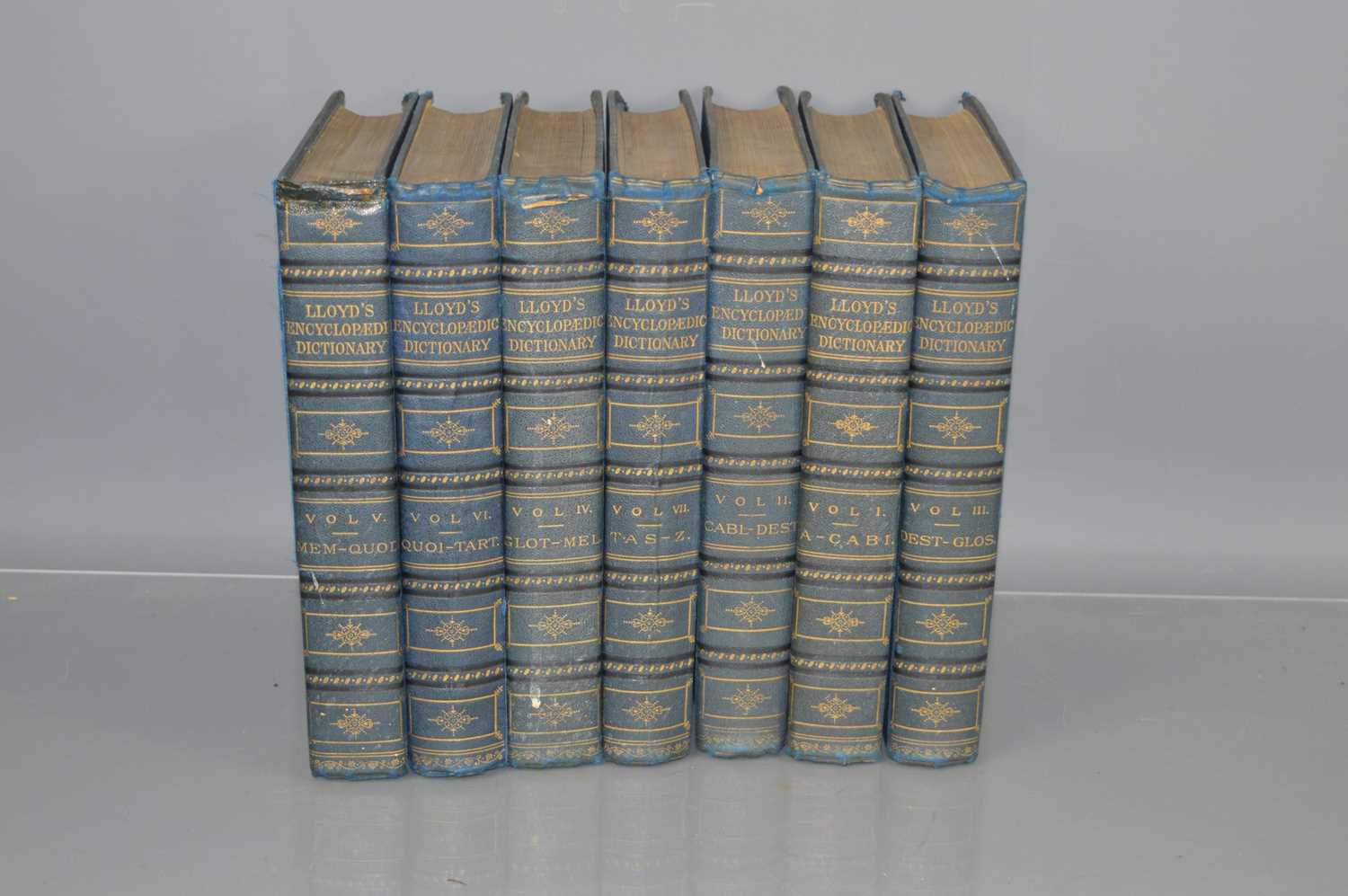 Lloyds, Encyclopaedic dictionary, seven volumes, published 1895