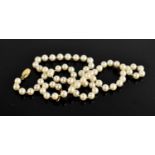 A fine cultured pearl necklace, with 9ct gold clasp, 20.42g.