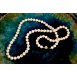 A cultured pearl necklace in alternating cream and pink, with ball form clasp, 73cm long.