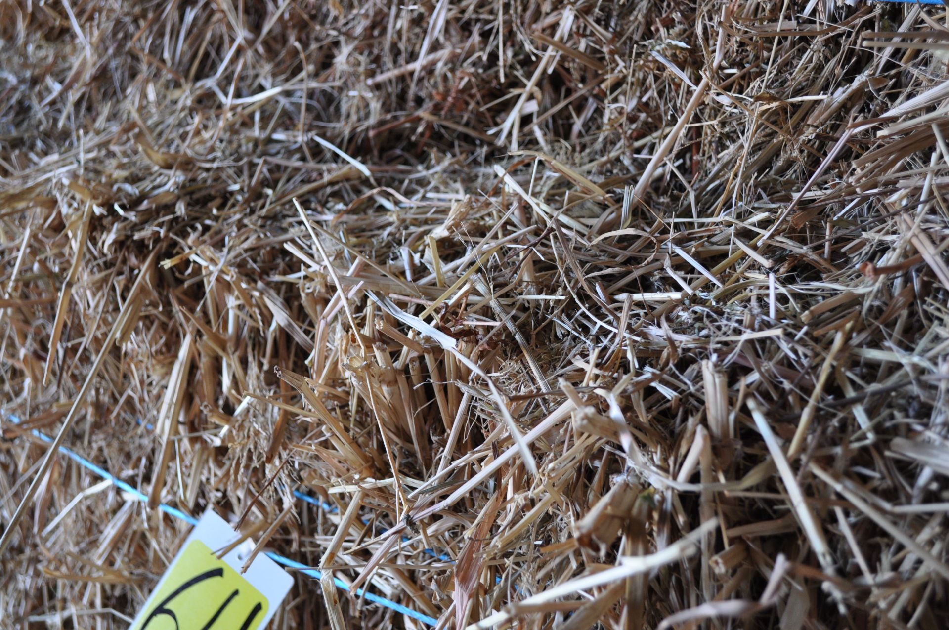 80 bales of mixed grass hay - Image 2 of 3