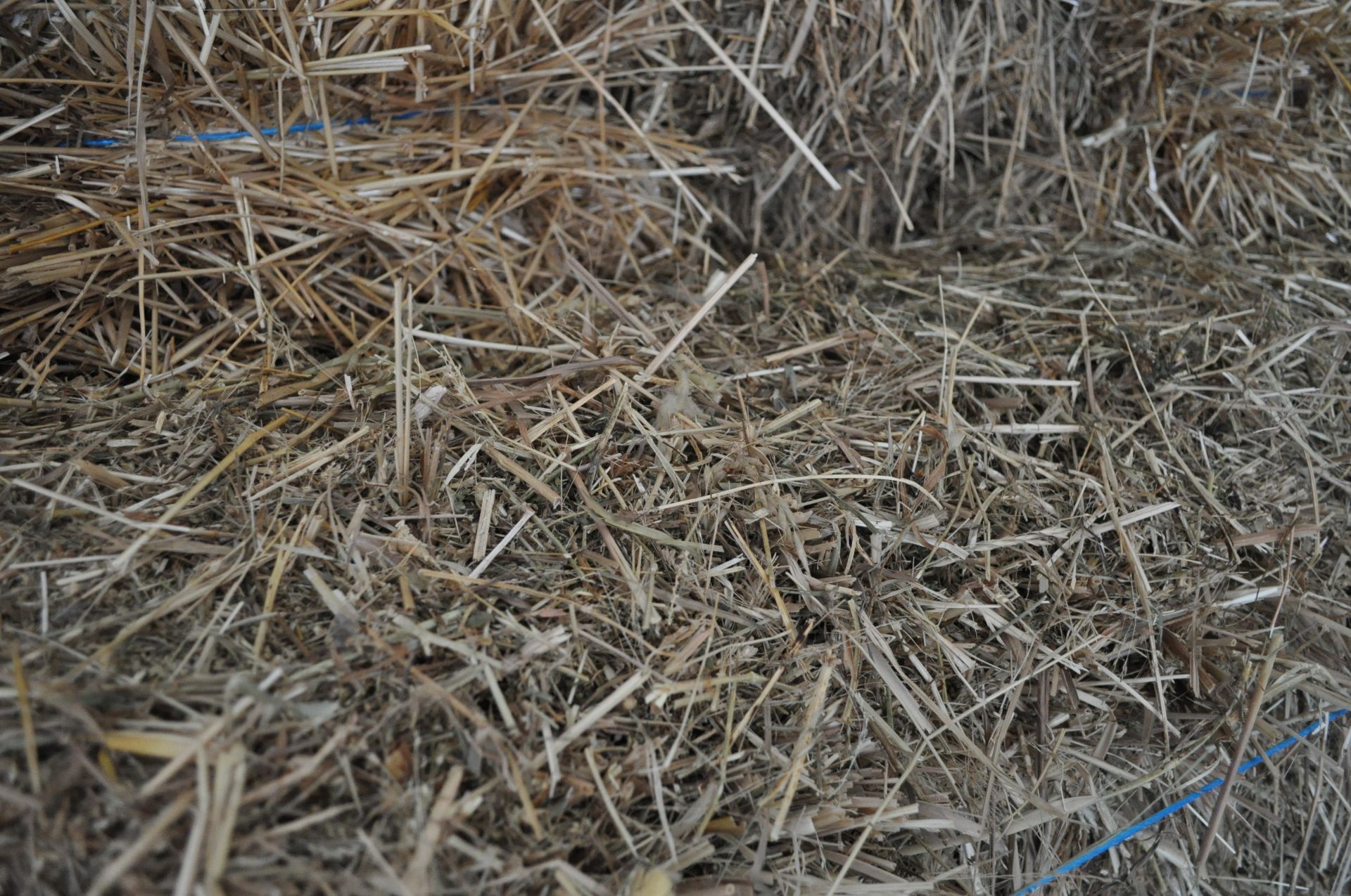 80 bales of mixed grass hay - Image 3 of 3