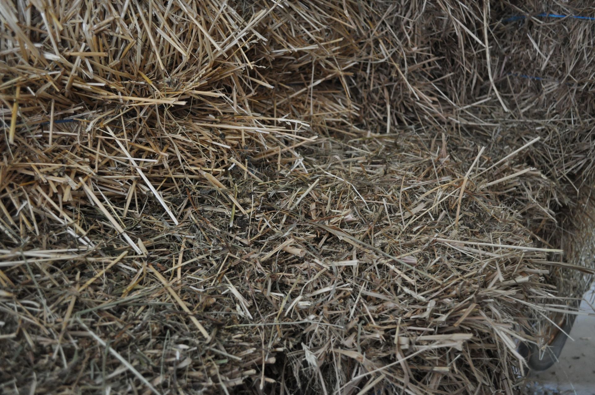 80 bales of mixed grass hay