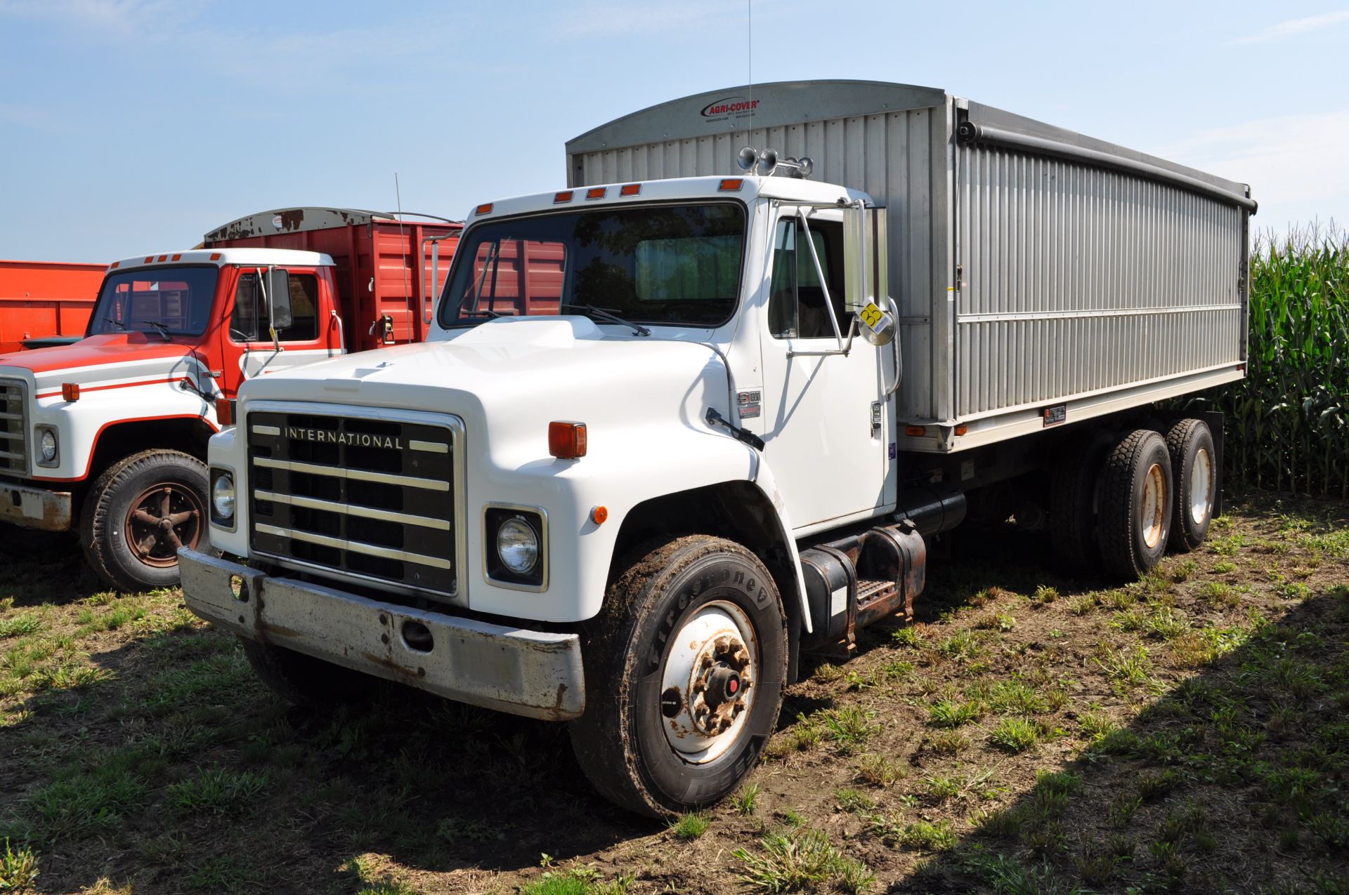 1985 International S1900 grain truck, DT466, 7 spd, 226” WB, tandem axle, roll tarp, spring ride