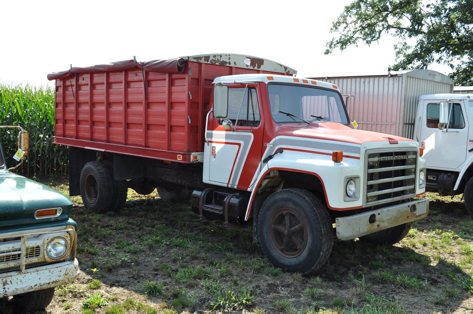 1982 International S1700 grain truck, IH gas 345 V-8 engine, 5 + 2 spd, 188 WB, single axle - Image 2 of 18