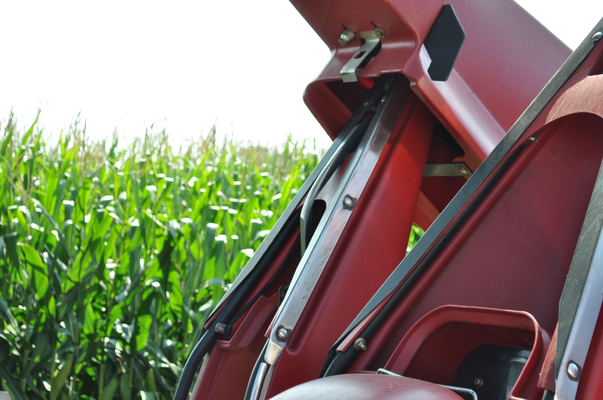 Case IH 3406 corn head, knife rolls, hyd deck plates, poly, 2 stalk stompers, header height control - Image 20 of 20