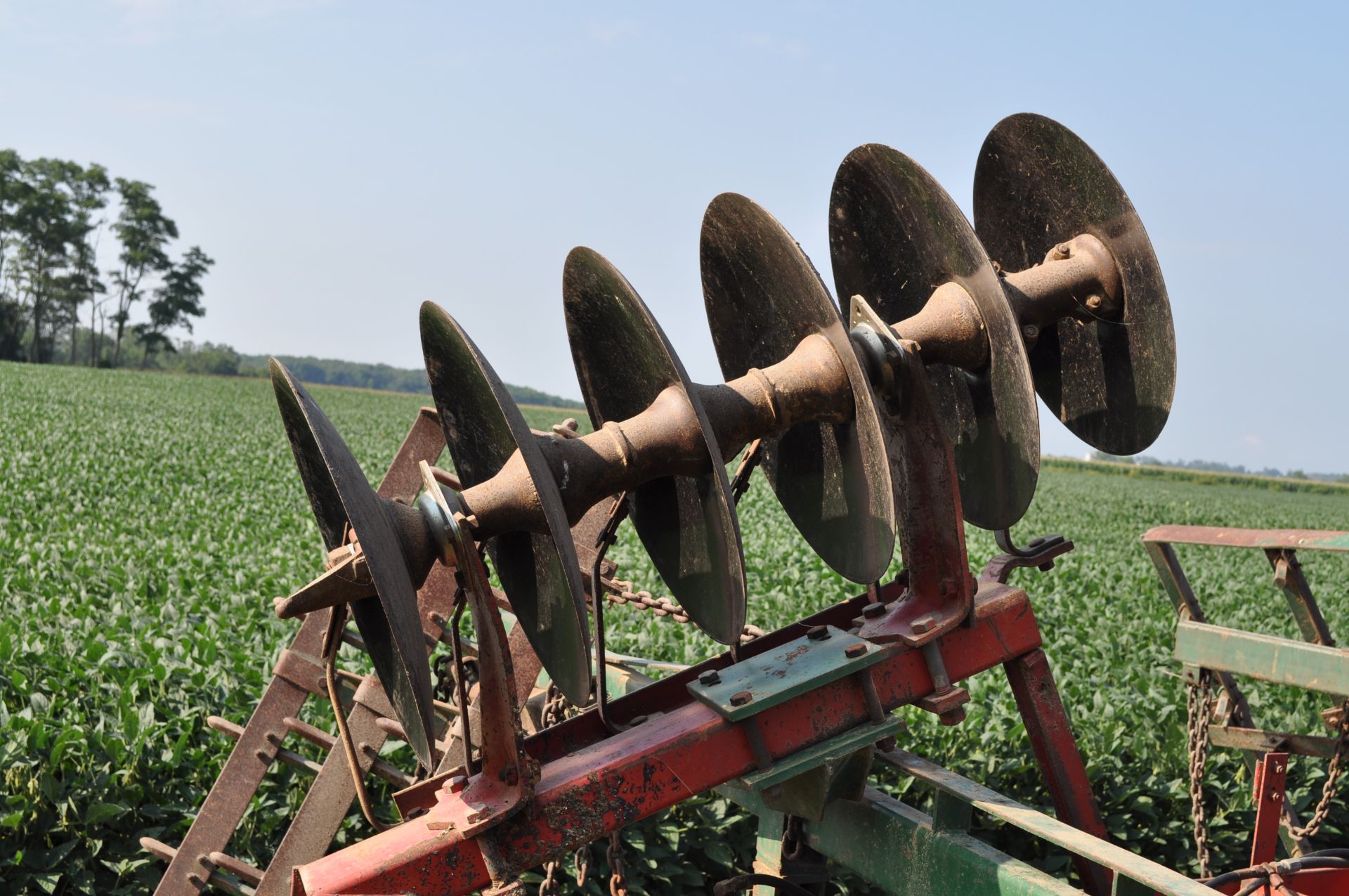 17 ½’ International 475 disc, 7 ½” spacing, 3 bar spike tooth harrow, new bearings and blades - Image 5 of 16