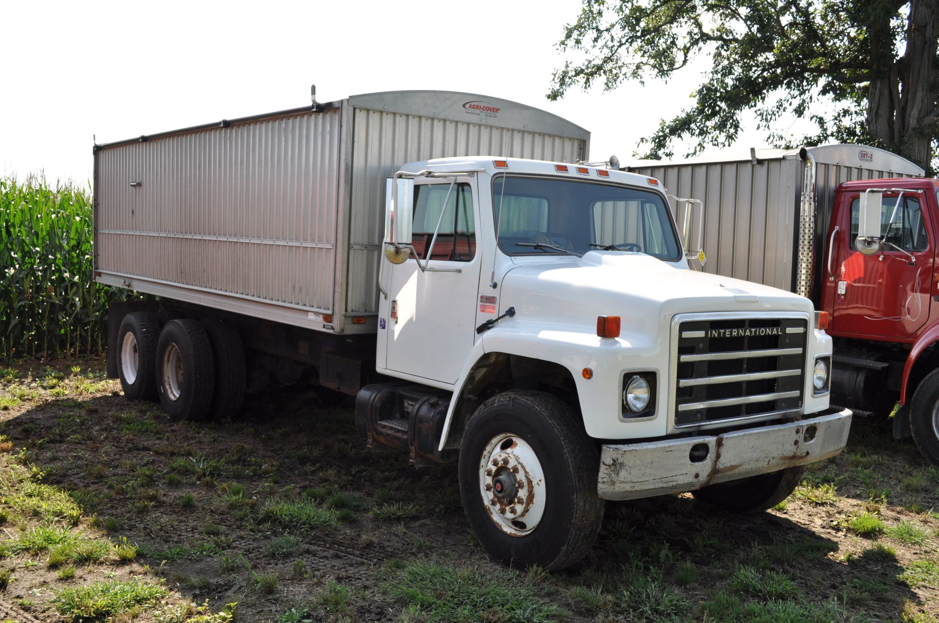 1985 International S1900 grain truck, DT466, 7 spd, 226” WB, tandem axle, roll tarp, spring ride - Image 2 of 21