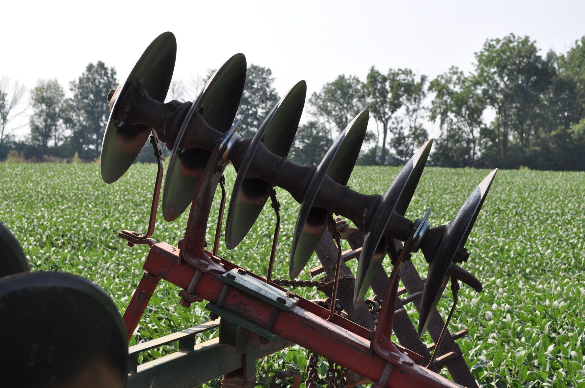 17 ½’ International 475 disc, 7 ½” spacing, 3 bar spike tooth harrow, new bearings and blades - Image 10 of 16