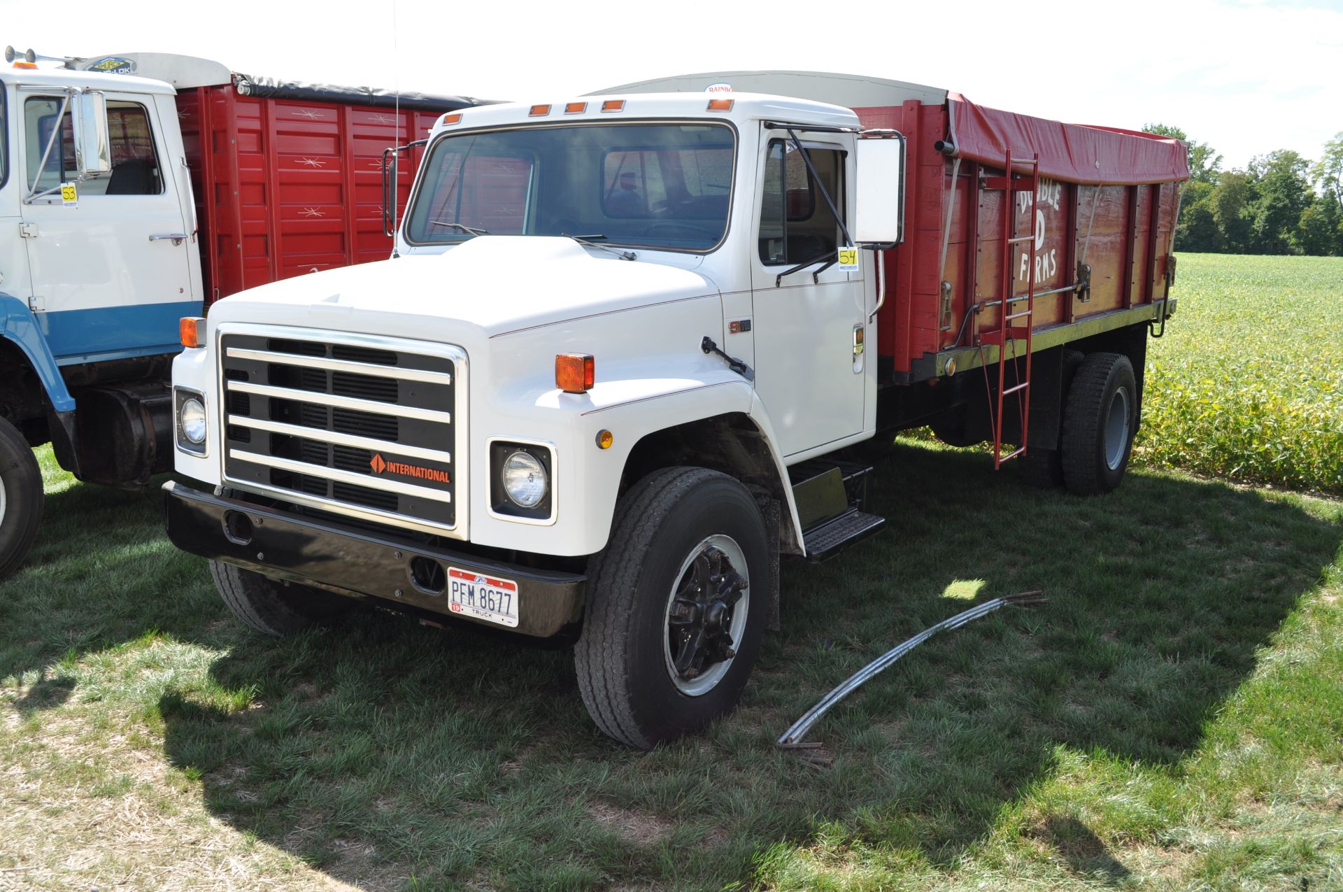 1987 International S1700 grain truck, 466 diesel, 5 + 2 trans, single axle, 205” WB, spring ride - Image 2 of 17