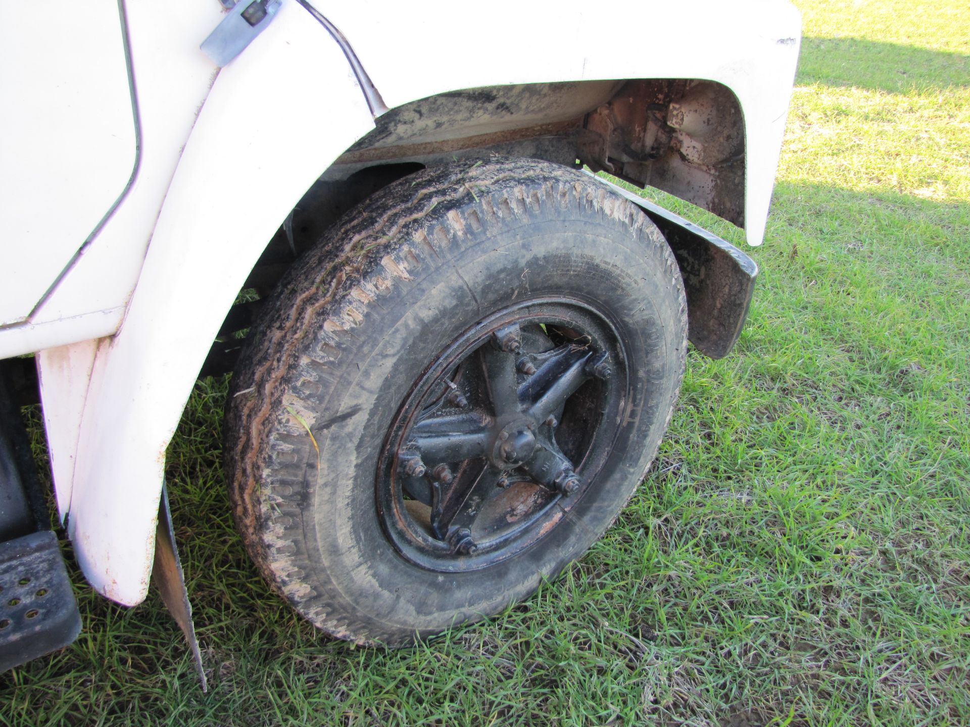 1981 International S1700 grain truck w/ 15 ½’ bed & hoist, 9.00-20 tires, 5 speed hi-lo, V-8 gas - Image 16 of 48