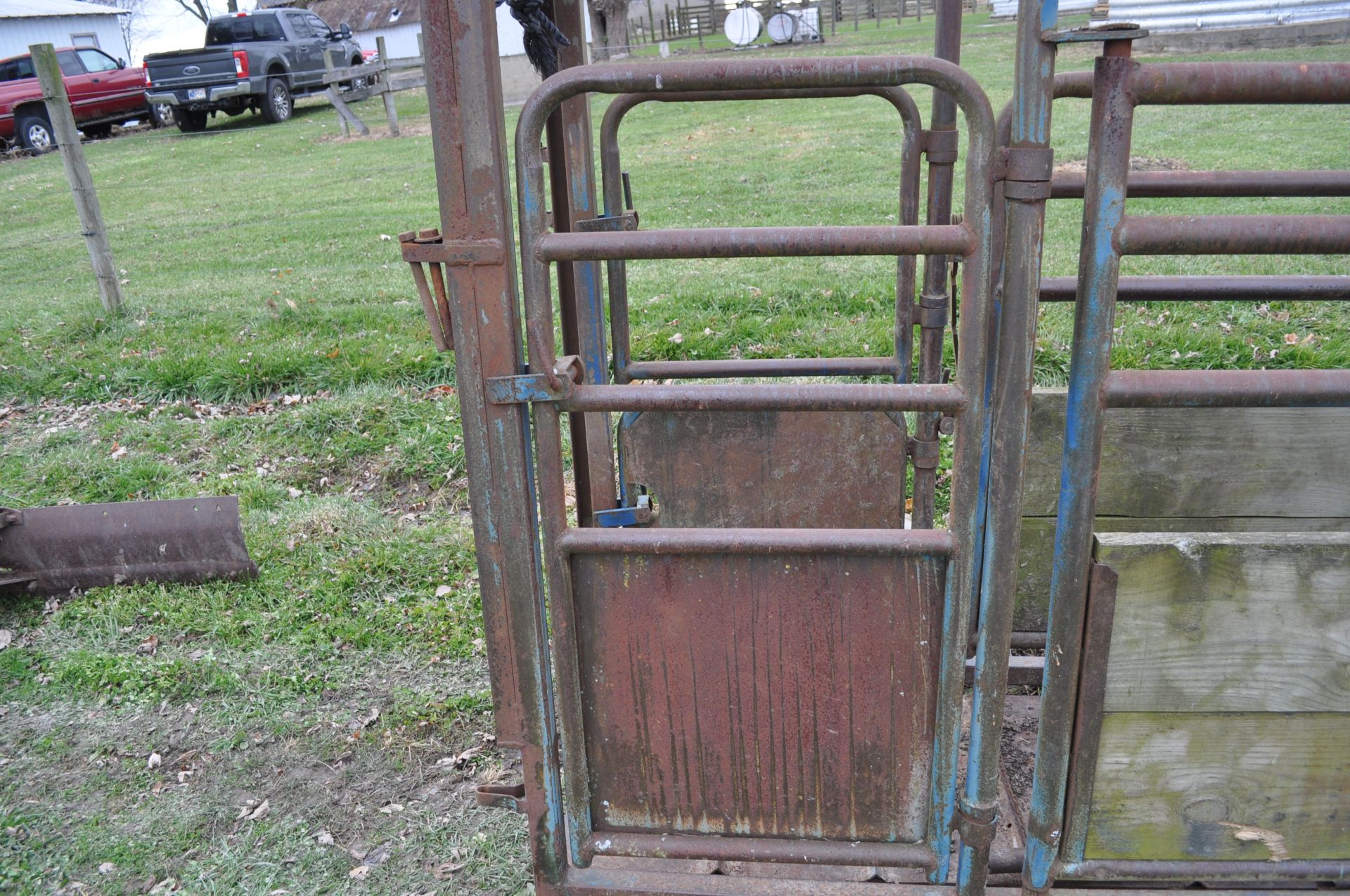 Headgate with chute, steel floor and rear vertical cut gate - Image 8 of 9