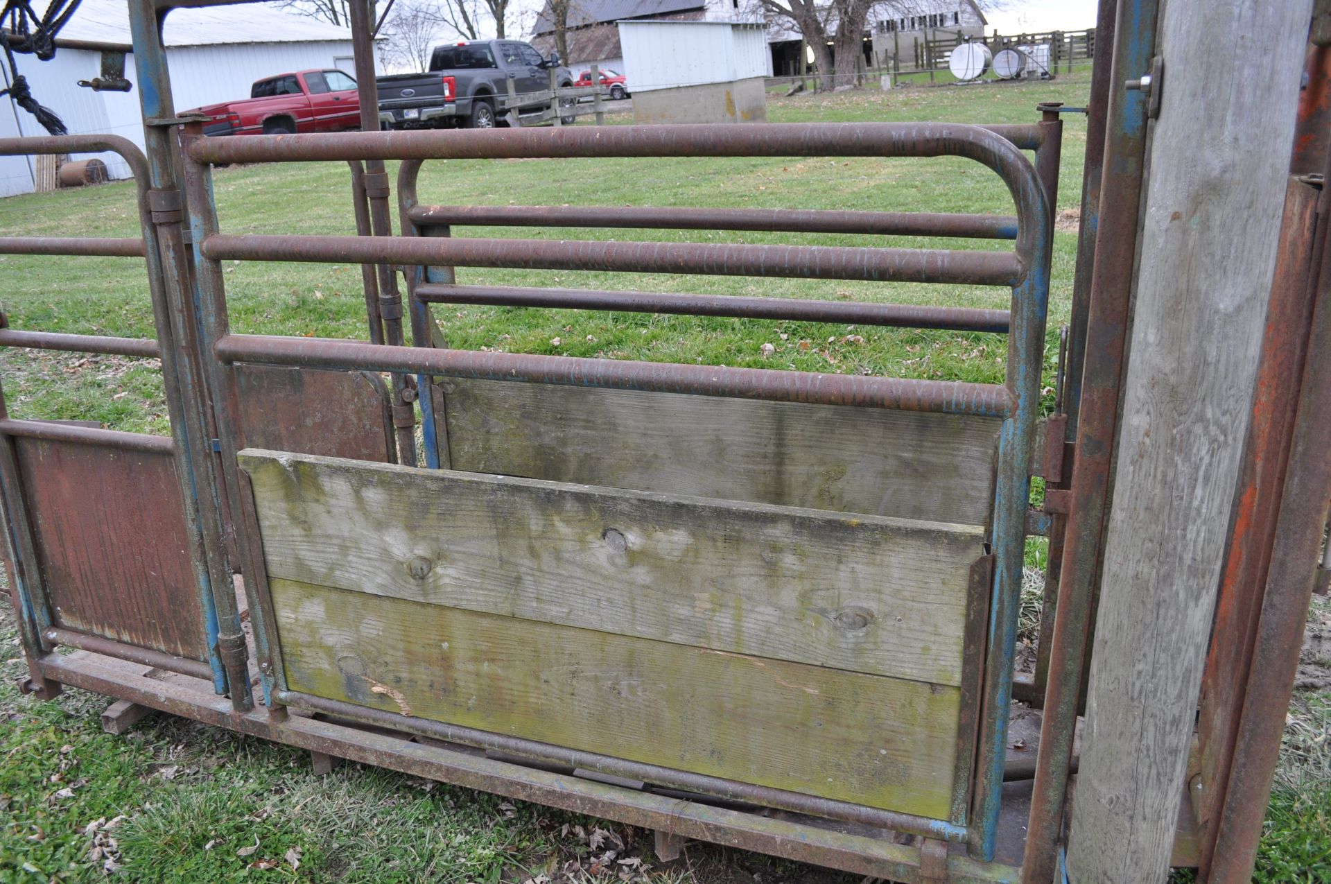 Headgate with chute, steel floor and rear vertical cut gate - Image 9 of 9