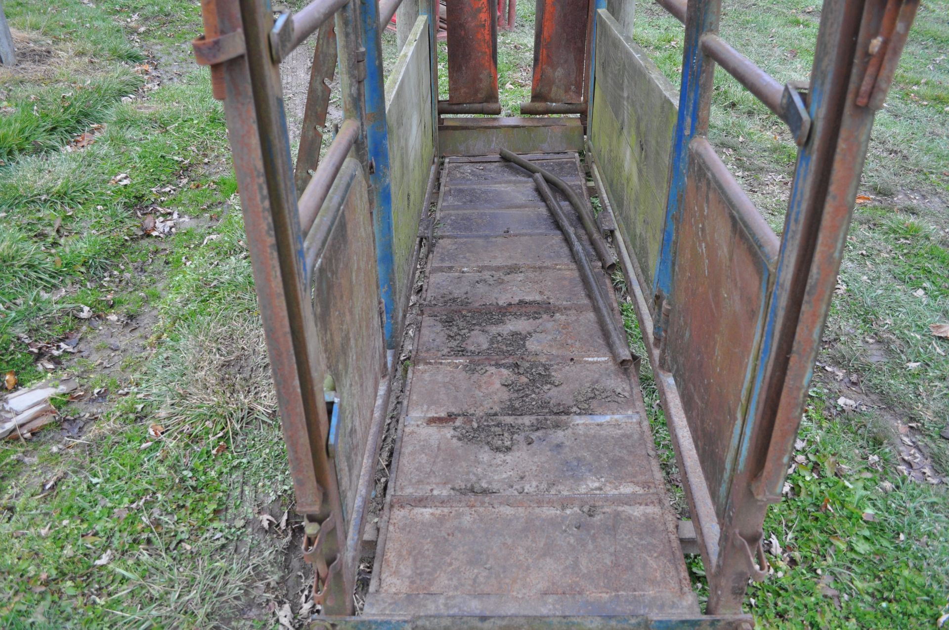 Headgate with chute, steel floor and rear vertical cut gate - Image 6 of 9