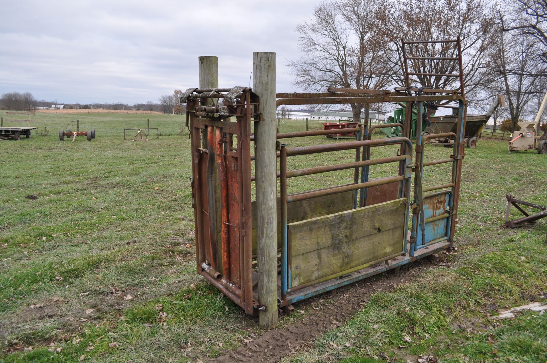 Headgate with chute, steel floor and rear vertical cut gate - Image 4 of 9