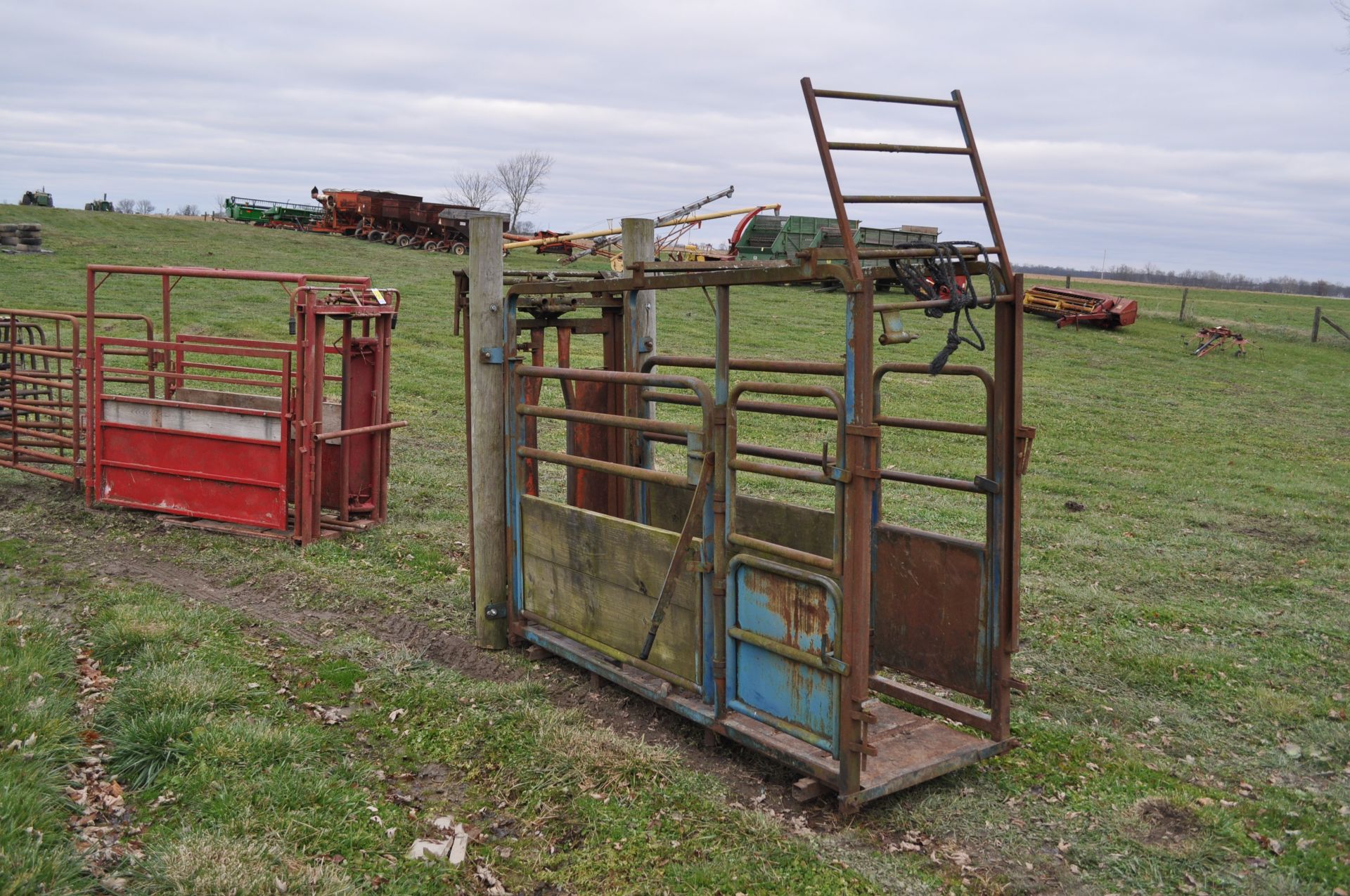 Headgate with chute, steel floor and rear vertical cut gate - Image 3 of 9