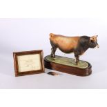 Royal Worcester porcelain model of a Jersey Bull modelled by Doris Lindner on wooden plinth base