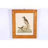 Antique needlework panel depicting adult and young bird with two eggs, mounted and in an