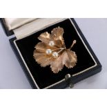 9ct yellow gold leaf brooch set with three pearls, maker SP, 11.6g gross in Carrington & Co Ltd box