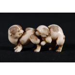 An ivory Okimono of two puppies playing, one biting the others hind quarters, unsigned, Meiji