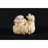 Finely carved ivory okimono of three quarrelling puppies, one biting the others tail, inlaid eyes