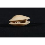 Ivory netsuke of The Clams Dream, signed, 45mm, 14g, Meiji