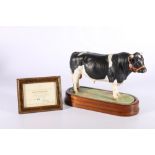 Royal Worcester porcelain model of a British Friesian Bull modelled by Doris Lindner on wooden