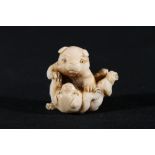 An Ivory netsuke of two puppies playing, 4cm, 26g, unsigned Meiji/Taisho