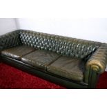 Chesterfield button back three seater sofa upholstered in green leather. 235cm wide 85cm deep.