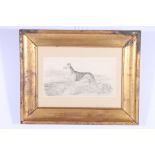 19th CENTURY SCHOOL, Study of a lurcher dog in a landscape, Signed with initials THP and dated 1839,