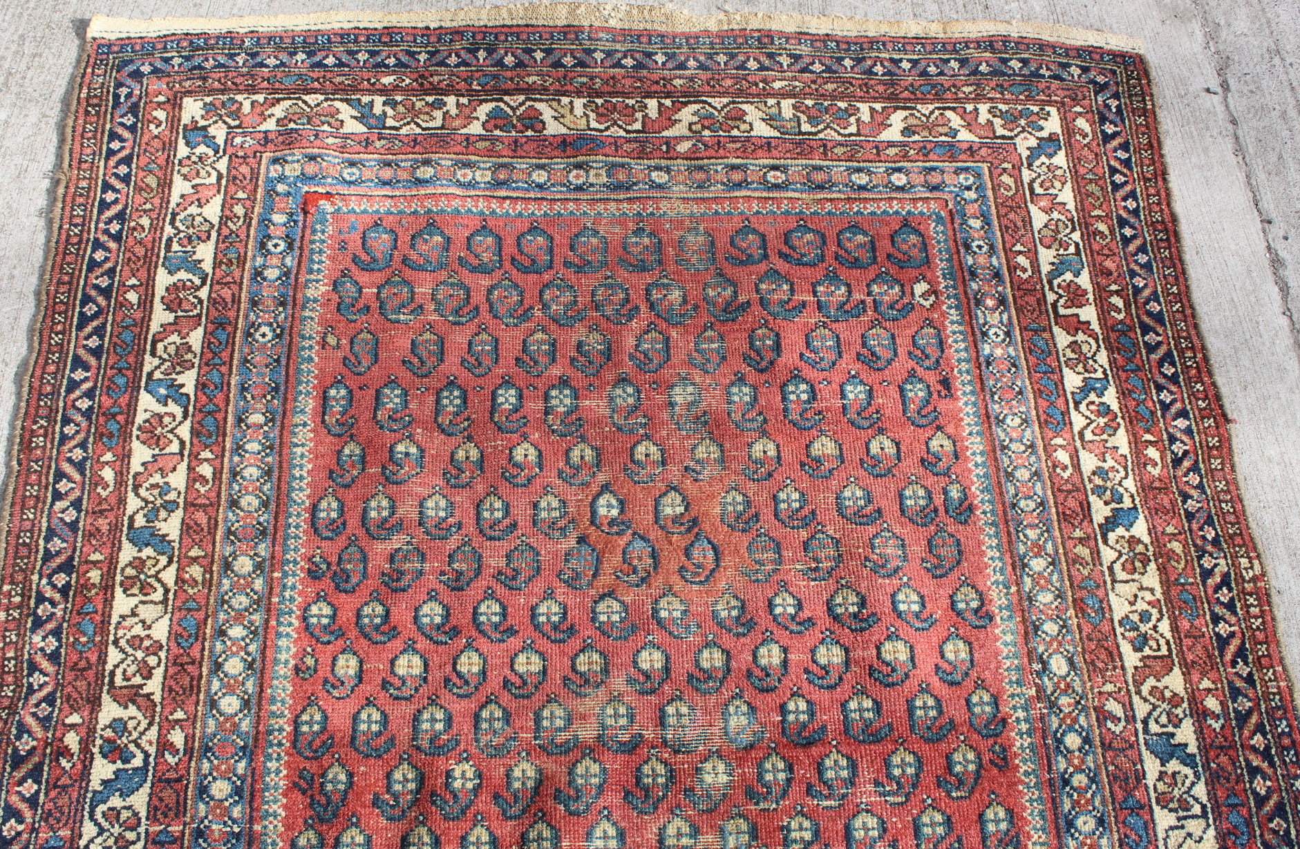 Persian wool rug in red, blue and cream with multiple boteh to main field , 199cm x 130cm. Old - Image 4 of 9