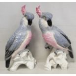 Pair of Crown Staffordshire fine bone china cockatoos designed and modelled by J. T. Jones, in