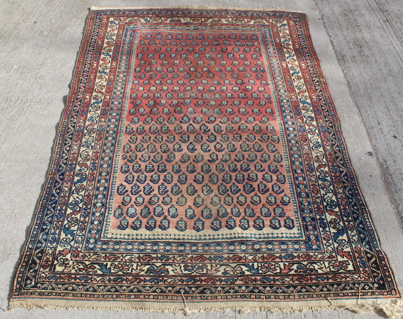 Persian wool rug in red, blue and cream with multiple boteh to main field , 199cm x 130cm. Old