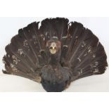 Taxidermy Capercaillie head with fanned tail feathers, 40cm high and 57cm wide.