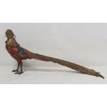 Large cold painted bronze figure of a golden pheasant in the manner of Franz Bergman, unmarked,
