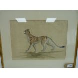 19TH CENTURY PERSIAN SCHOOL.  Study of a Leopard. Ink & gouache on paper. 25cm x 34.5cm.