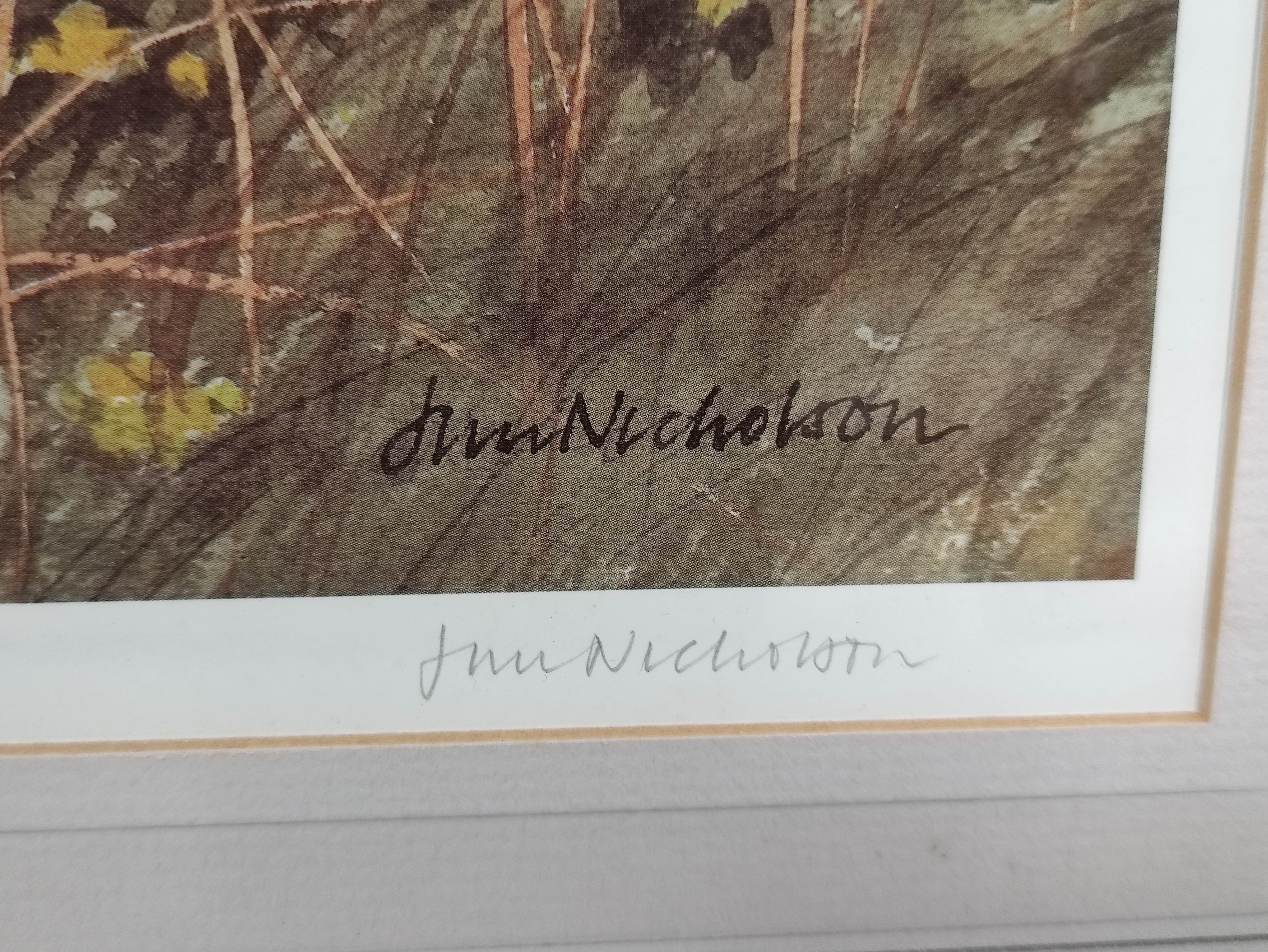 Jim Nicholson. Set of 4 pencil signed colour prints, ltd. eds. 500. Views in Skye & Scotland. - Image 12 of 12