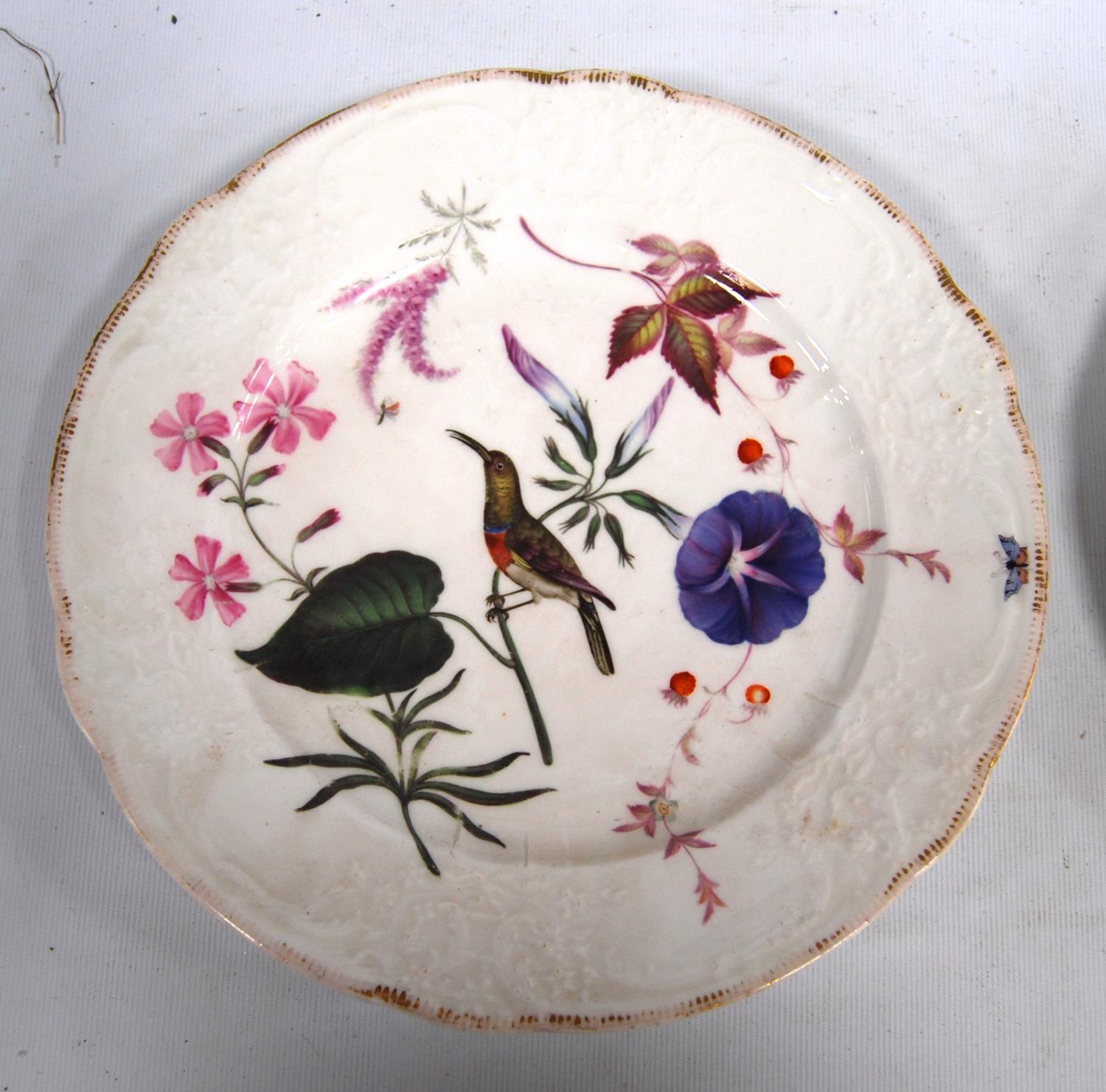 Set of French hand painted cabinet plates, each decorated with birds and foliage comprising six - Image 5 of 19