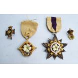 Two Order of the Primrose League medals and two pins, each with central yellow enamelled primrose