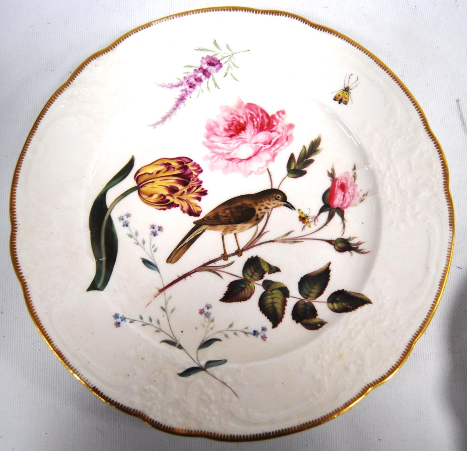 Set of French hand painted cabinet plates, each decorated with birds and foliage comprising six - Image 3 of 19