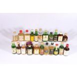 A selection of blended whisky miniatures including PINWINNIE, WHYTE & MACKAY 21 year old, CRAWFORD'S
