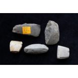 Neolithic- Collection of stone age implements to include a small flint hand-axe head and four axe