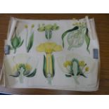 HENFREY.  Botanical Diagrams. 3 rolled hand col. botanical plates, approx. 22" x 30". All chipped,