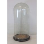Large Victorian glass display dome on ebonised circular plinth base, 55cm high, the inner diameter